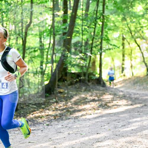 28.09.2025 - 33. Volkslauf durch das schöne Alstertal Dr. Thomas Lammeyer http://msf.ph/oto/8961059 28.09.2025 11:06:09 Laufen 3314 meine-sportfotos.de