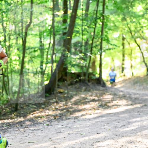 28.09.2025 - 33. Volkslauf durch das schöne Alstertal Dr. Thomas Lammeyer http://msf.ph/oto/8961060 28.09.2025 11:06:09 Laufen 3314 meine-sportfotos.de