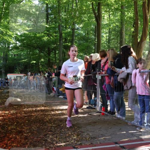 28.09.2025 - 33. Volkslauf durch das schöne Alstertal Strokosch-Dieckow http://msf.ph/oto/8961062 28.09.2025 10:52:18 Ziel 4118, 4910, 4918 meine-sportfotos.de