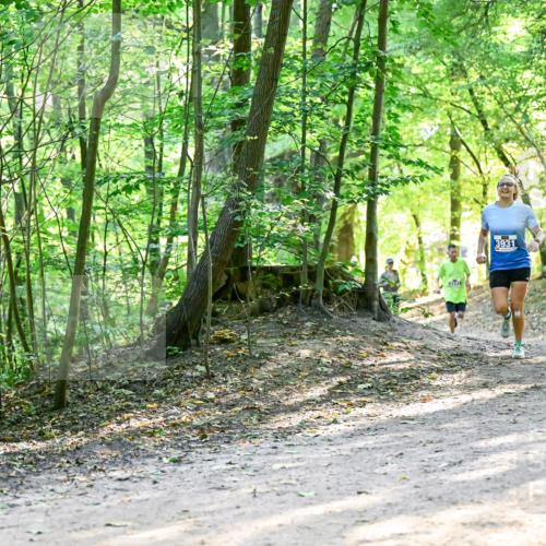 28.09.2025 - 33. Volkslauf durch das schöne Alstertal Dr. Thomas Lammeyer http://msf.ph/oto/8961063 28.09.2025 11:06:13 Laufen 3931 meine-sportfotos.de