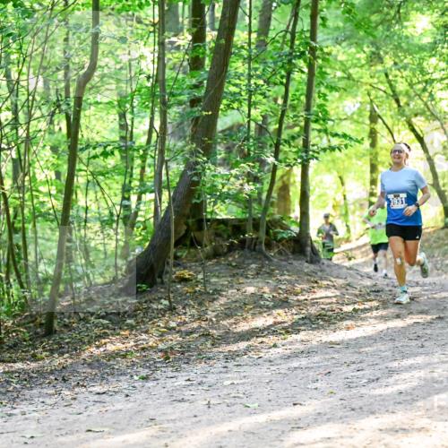 28.09.2025 - 33. Volkslauf durch das schöne Alstertal Dr. Thomas Lammeyer http://msf.ph/oto/8961065 28.09.2025 11:06:14 Laufen 3931 meine-sportfotos.de