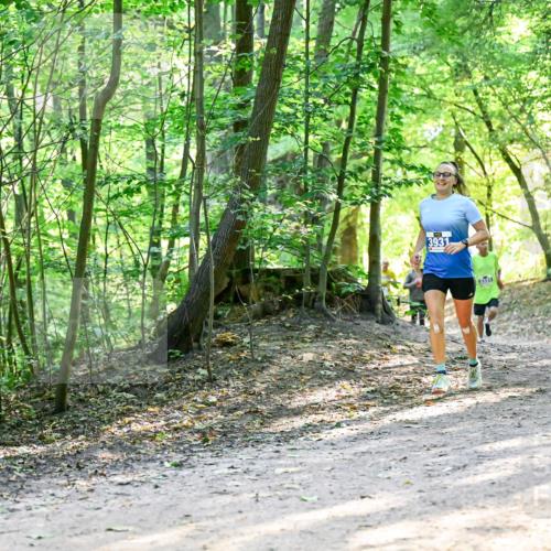 28.09.2025 - 33. Volkslauf durch das schöne Alstertal Dr. Thomas Lammeyer http://msf.ph/oto/8961070 28.09.2025 11:06:14 Laufen 3931 meine-sportfotos.de