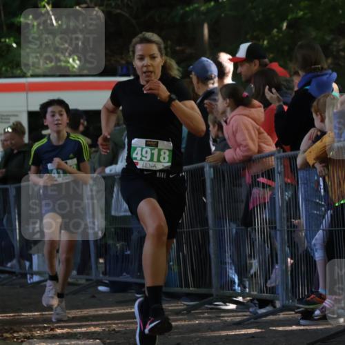 28.09.2025 - 33. Volkslauf durch das schöne Alstertal Strokosch-Dieckow http://msf.ph/oto/8961077 28.09.2025 10:52:21 Ziel 4075, 4118, 4918 meine-sportfotos.de