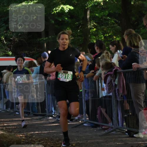 28.09.2025 - 33. Volkslauf durch das schöne Alstertal Strokosch-Dieckow http://msf.ph/oto/8961081 28.09.2025 10:52:21 Ziel 4075, 4118, 4918 meine-sportfotos.de