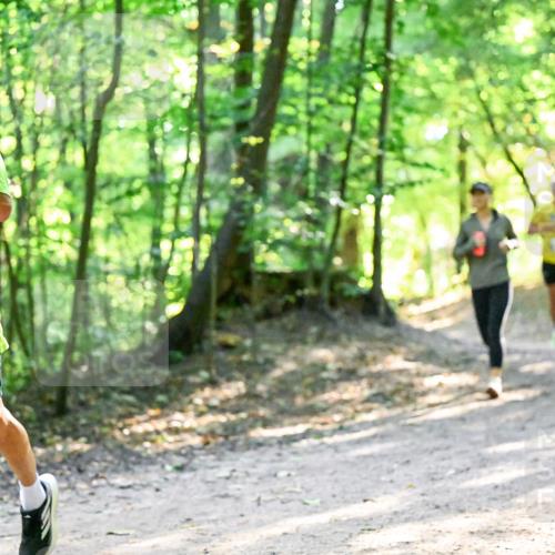 28.09.2025 - 33. Volkslauf durch das schöne Alstertal Dr. Thomas Lammeyer http://msf.ph/oto/8961098 28.09.2025 11:06:20 Laufen 3331, 1 meine-sportfotos.de