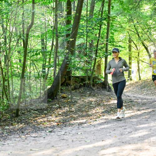28.09.2025 - 33. Volkslauf durch das schöne Alstertal Dr. Thomas Lammeyer http://msf.ph/oto/8961099 28.09.2025 11:06:20 Laufen 3904 meine-sportfotos.de