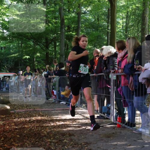 28.09.2025 - 33. Volkslauf durch das schöne Alstertal Strokosch-Dieckow http://msf.ph/oto/8961101 28.09.2025 10:52:23 Ziel 4075, 4118, 4918 meine-sportfotos.de