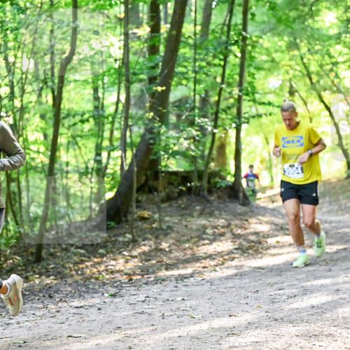 28.09.2025 - 33. Volkslauf durch das schöne Alstertal Dr. Thomas Lammeyer http://msf.ph/oto/8961110 28.09.2025 11:06:22 Laufen  meine-sportfotos.de