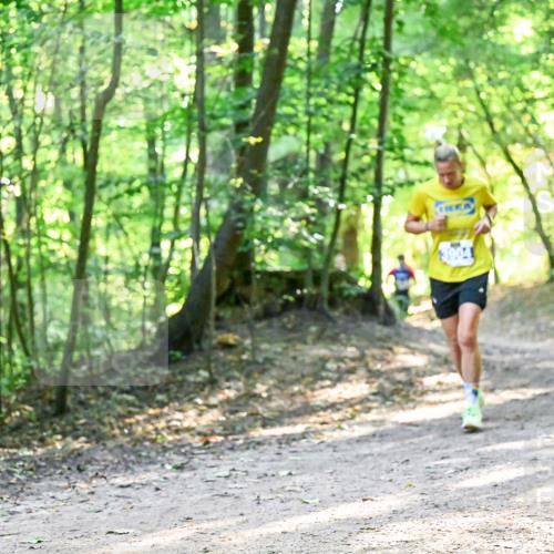 28.09.2025 - 33. Volkslauf durch das schöne Alstertal Dr. Thomas Lammeyer http://msf.ph/oto/8961111 28.09.2025 11:06:22 Laufen 3904 meine-sportfotos.de