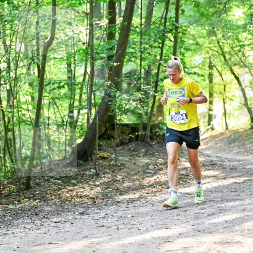 28.09.2025 - 33. Volkslauf durch das schöne Alstertal Dr. Thomas Lammeyer http://msf.ph/oto/8961113 28.09.2025 11:06:23 Laufen 3904 meine-sportfotos.de