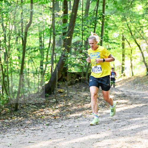 28.09.2025 - 33. Volkslauf durch das schöne Alstertal Dr. Thomas Lammeyer http://msf.ph/oto/8961114 28.09.2025 11:06:23 Laufen 3904 meine-sportfotos.de