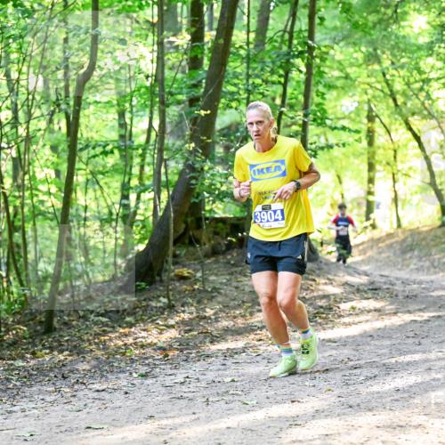 28.09.2025 - 33. Volkslauf durch das schöne Alstertal Dr. Thomas Lammeyer http://msf.ph/oto/8961115 28.09.2025 11:06:23 Laufen 3904 meine-sportfotos.de