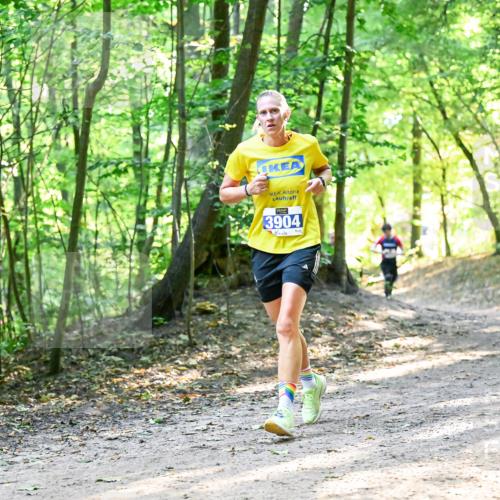 28.09.2025 - 33. Volkslauf durch das schöne Alstertal Dr. Thomas Lammeyer http://msf.ph/oto/8961116 28.09.2025 11:06:23 Laufen 3904 meine-sportfotos.de