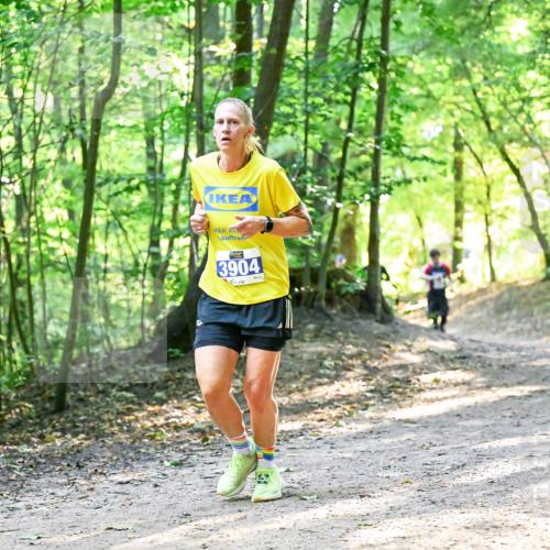 28.09.2025 - 33. Volkslauf durch das schöne Alstertal Dr. Thomas Lammeyer http://msf.ph/oto/8961119 28.09.2025 11:06:23 Laufen 3904 meine-sportfotos.de