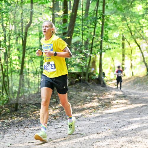 28.09.2025 - 33. Volkslauf durch das schöne Alstertal Dr. Thomas Lammeyer http://msf.ph/oto/8961120 28.09.2025 11:06:23 Laufen 3904 meine-sportfotos.de