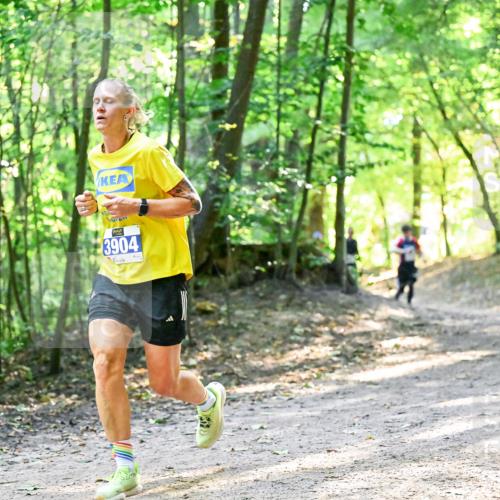 28.09.2025 - 33. Volkslauf durch das schöne Alstertal Dr. Thomas Lammeyer http://msf.ph/oto/8961121 28.09.2025 11:06:23 Laufen 3904 meine-sportfotos.de