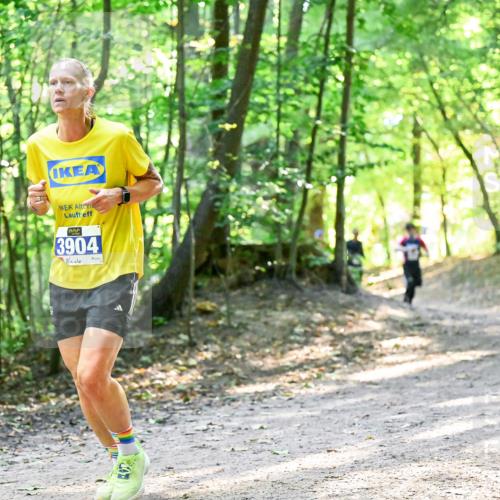 28.09.2025 - 33. Volkslauf durch das schöne Alstertal Dr. Thomas Lammeyer http://msf.ph/oto/8961122 28.09.2025 11:06:24 Laufen 3904 meine-sportfotos.de