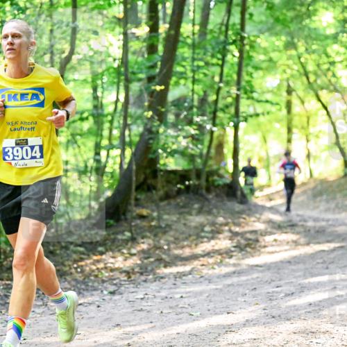 28.09.2025 - 33. Volkslauf durch das schöne Alstertal Dr. Thomas Lammeyer http://msf.ph/oto/8961123 28.09.2025 11:06:24 Laufen 3904 meine-sportfotos.de