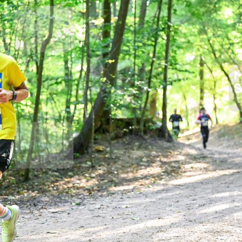 28.09.2025 - 33. Volkslauf durch das schöne Alstertal Dr. Thomas Lammeyer http://msf.ph/oto/8961124 28.09.2025 11:06:24 Laufen 3904 meine-sportfotos.de