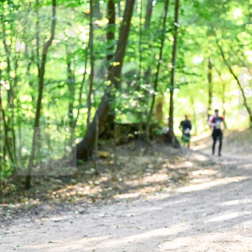 28.09.2025 - 33. Volkslauf durch das schöne Alstertal Dr. Thomas Lammeyer http://msf.ph/oto/8961125 28.09.2025 11:06:24 Laufen  meine-sportfotos.de