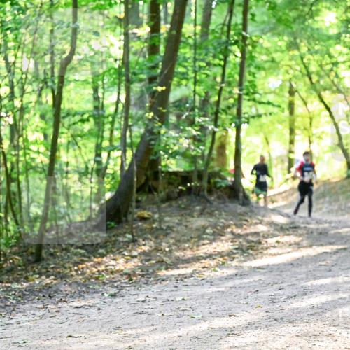 28.09.2025 - 33. Volkslauf durch das schöne Alstertal Dr. Thomas Lammeyer http://msf.ph/oto/8961126 28.09.2025 11:06:24 Laufen  meine-sportfotos.de