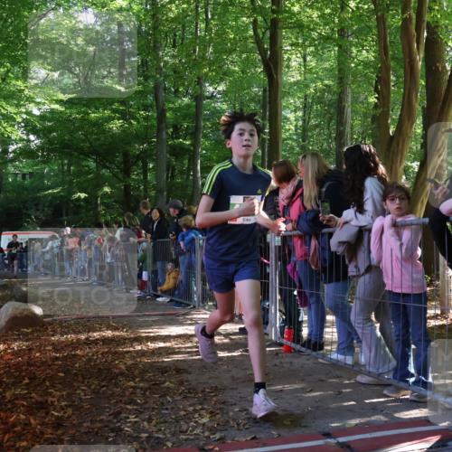 28.09.2025 - 33. Volkslauf durch das schöne Alstertal Strokosch-Dieckow http://msf.ph/oto/8961128 28.09.2025 10:52:25 Ziel 4075, 4118 meine-sportfotos.de