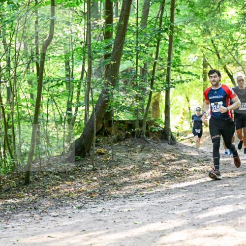 28.09.2025 - 33. Volkslauf durch das schöne Alstertal Dr. Thomas Lammeyer http://msf.ph/oto/8961130 28.09.2025 11:06:28 Laufen 3242 meine-sportfotos.de