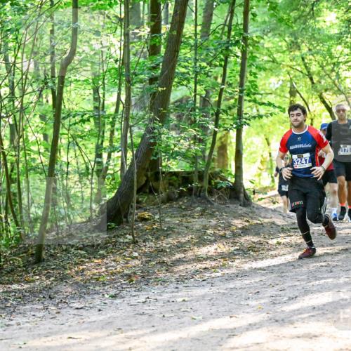 28.09.2025 - 33. Volkslauf durch das schöne Alstertal Dr. Thomas Lammeyer http://msf.ph/oto/8961131 28.09.2025 11:06:29 Laufen 3176, 3247 meine-sportfotos.de