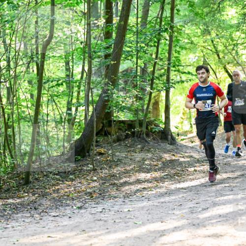 28.09.2025 - 33. Volkslauf durch das schöne Alstertal Dr. Thomas Lammeyer http://msf.ph/oto/8961132 28.09.2025 11:06:29 Laufen 3176 meine-sportfotos.de