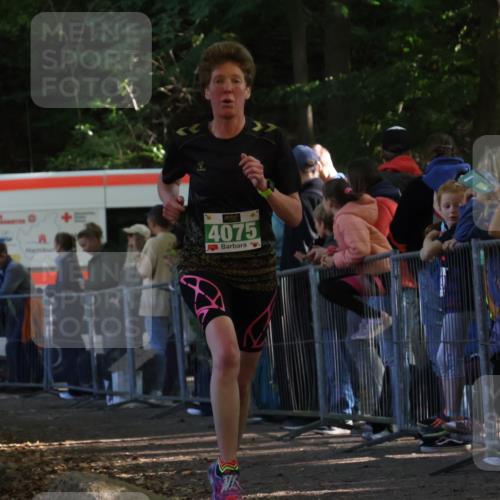 28.09.2025 - 33. Volkslauf durch das schöne Alstertal Strokosch-Dieckow http://msf.ph/oto/8961138 28.09.2025 10:52:28 Ziel 4075 meine-sportfotos.de