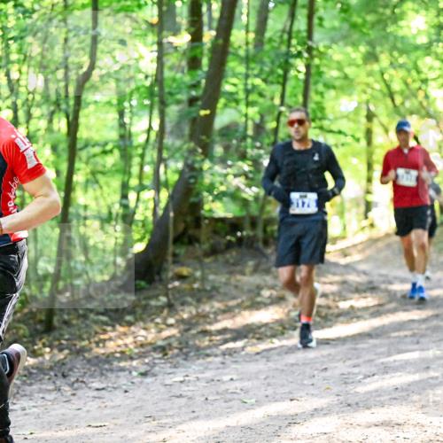28.09.2025 - 33. Volkslauf durch das schöne Alstertal Dr. Thomas Lammeyer http://msf.ph/oto/8961145 28.09.2025 11:06:31 Laufen 324 meine-sportfotos.de