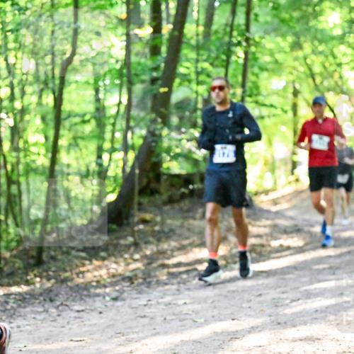 28.09.2025 - 33. Volkslauf durch das schöne Alstertal Dr. Thomas Lammeyer http://msf.ph/oto/8961146 28.09.2025 11:06:31 Laufen  meine-sportfotos.de