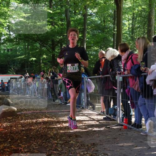 28.09.2025 - 33. Volkslauf durch das schöne Alstertal Strokosch-Dieckow http://msf.ph/oto/8961156 28.09.2025 10:52:30 Ziel 4075 meine-sportfotos.de