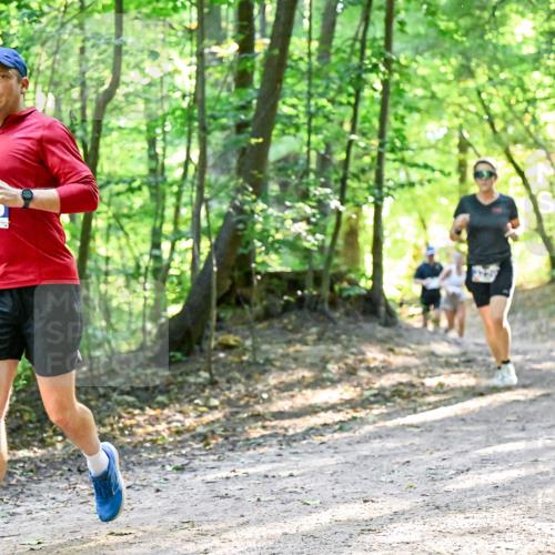 28.09.2025 - 33. Volkslauf durch das schöne Alstertal Dr. Thomas Lammeyer http://msf.ph/oto/8961160 28.09.2025 11:06:33 Laufen 3310 meine-sportfotos.de