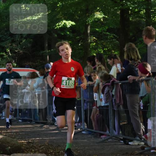 28.09.2025 - 33. Volkslauf durch das schöne Alstertal Strokosch-Dieckow http://msf.ph/oto/8961169 28.09.2025 10:52:48 Ziel 4007, 4078, 4173, 4185 meine-sportfotos.de