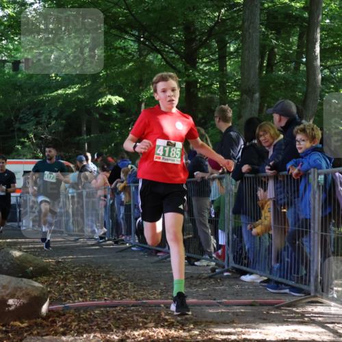 28.09.2025 - 33. Volkslauf durch das schöne Alstertal Strokosch-Dieckow http://msf.ph/oto/8961176 28.09.2025 10:52:48 Ziel 4007, 4078, 4173, 4185 meine-sportfotos.de