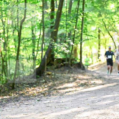 28.09.2025 - 33. Volkslauf durch das schöne Alstertal Dr. Thomas Lammeyer http://msf.ph/oto/8961177 28.09.2025 11:06:35 Laufen 3220 meine-sportfotos.de