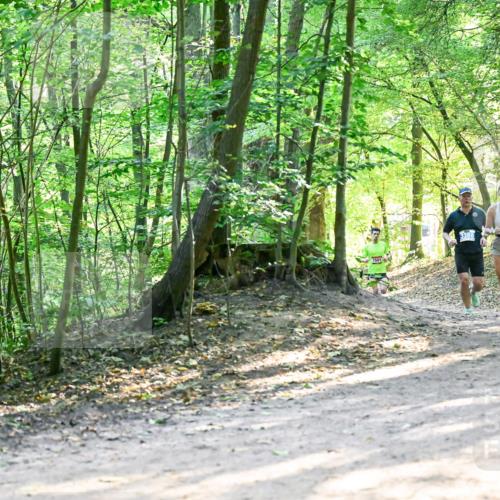 28.09.2025 - 33. Volkslauf durch das schöne Alstertal Dr. Thomas Lammeyer http://msf.ph/oto/8961178 28.09.2025 11:06:36 Laufen 1501 meine-sportfotos.de