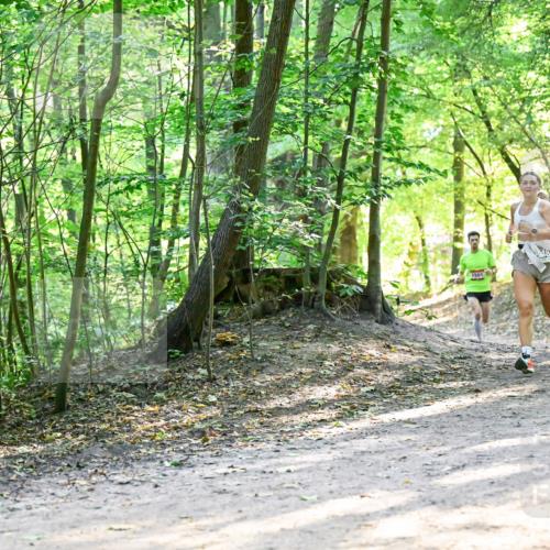 28.09.2025 - 33. Volkslauf durch das schöne Alstertal Dr. Thomas Lammeyer http://msf.ph/oto/8961181 28.09.2025 11:06:37 Laufen 1501, 888 meine-sportfotos.de