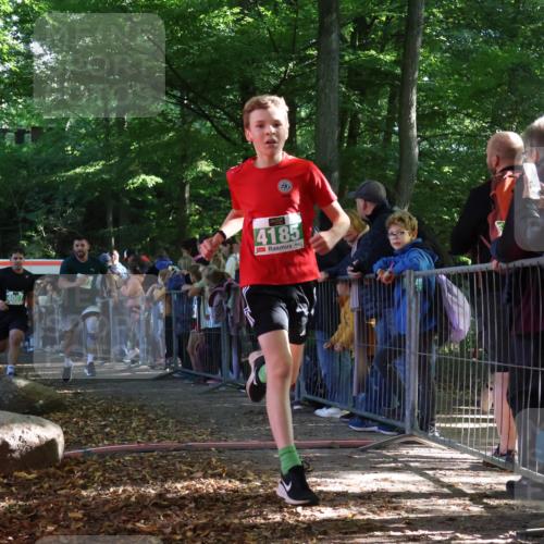 28.09.2025 - 33. Volkslauf durch das schöne Alstertal Strokosch-Dieckow http://msf.ph/oto/8961184 28.09.2025 10:52:49 Ziel 4007, 4078, 4173, 4185 meine-sportfotos.de