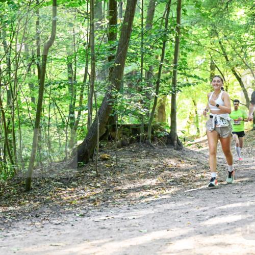 28.09.2025 - 33. Volkslauf durch das schöne Alstertal Dr. Thomas Lammeyer http://msf.ph/oto/8961188 28.09.2025 11:06:37 Laufen 1501, 3388 meine-sportfotos.de