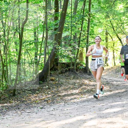 28.09.2025 - 33. Volkslauf durch das schöne Alstertal Dr. Thomas Lammeyer http://msf.ph/oto/8961191 28.09.2025 11:06:38 Laufen 948, 3388 meine-sportfotos.de