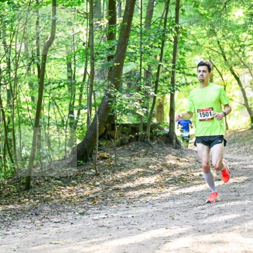 28.09.2025 - 33. Volkslauf durch das schöne Alstertal Dr. Thomas Lammeyer http://msf.ph/oto/8961205 28.09.2025 11:06:40 Laufen 1501 meine-sportfotos.de