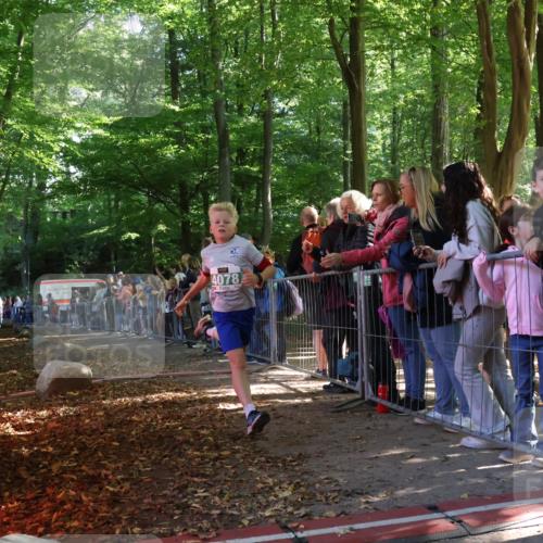 28.09.2025 - 33. Volkslauf durch das schöne Alstertal Strokosch-Dieckow http://msf.ph/oto/8961210 28.09.2025 10:52:52 Ziel 4007, 4078, 4173 meine-sportfotos.de