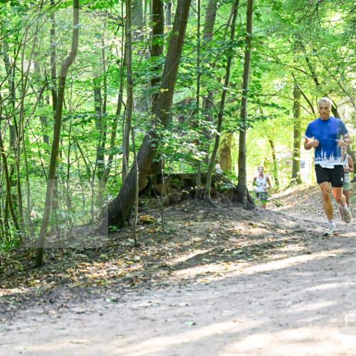 28.09.2025 - 33. Volkslauf durch das schöne Alstertal Dr. Thomas Lammeyer http://msf.ph/oto/8961215 28.09.2025 11:06:45 Laufen 3248 meine-sportfotos.de