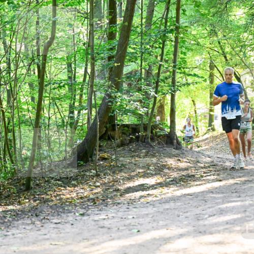 28.09.2025 - 33. Volkslauf durch das schöne Alstertal Dr. Thomas Lammeyer http://msf.ph/oto/8961216 28.09.2025 11:06:46 Laufen 3248 meine-sportfotos.de
