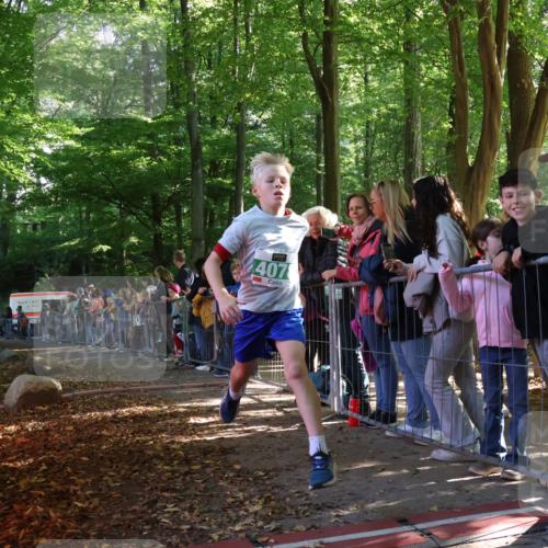 28.09.2025 - 33. Volkslauf durch das schöne Alstertal Strokosch-Dieckow http://msf.ph/oto/8961217 28.09.2025 10:52:52 Ziel 4007, 4078, 4173 meine-sportfotos.de