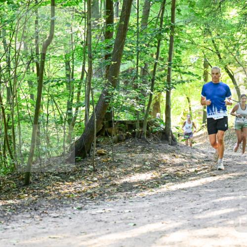 28.09.2025 - 33. Volkslauf durch das schöne Alstertal Dr. Thomas Lammeyer http://msf.ph/oto/8961219 28.09.2025 11:06:46 Laufen 3382, 3248 meine-sportfotos.de