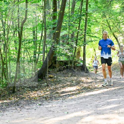 28.09.2025 - 33. Volkslauf durch das schöne Alstertal Dr. Thomas Lammeyer http://msf.ph/oto/8961221 28.09.2025 11:06:46 Laufen 3382, 324 meine-sportfotos.de