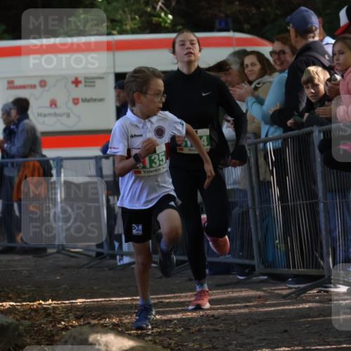 28.09.2025 - 33. Volkslauf durch das schöne Alstertal Strokosch-Dieckow http://msf.ph/oto/8961225 28.09.2025 10:53:02 Ziel 4124, 4135 meine-sportfotos.de